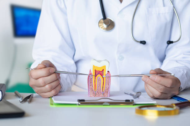 Best Emergency Dental Care for Broken or Chipped Teeth in Edinburg, TX